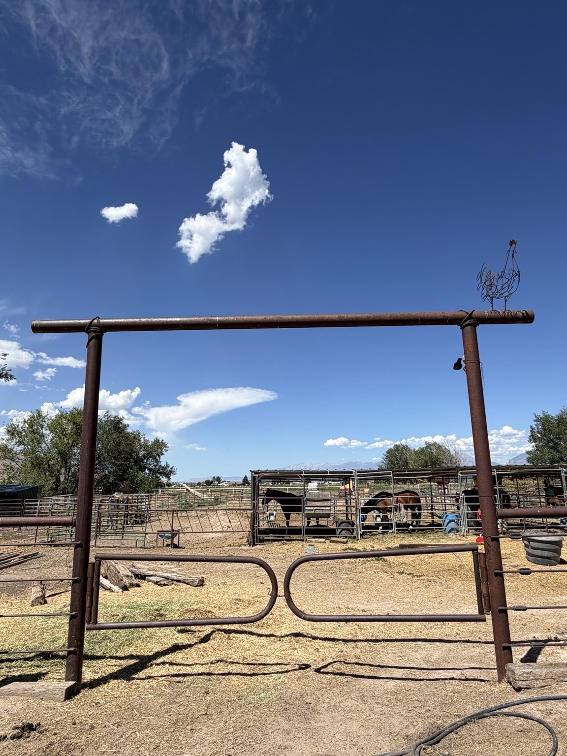 Drill pipe livestock fence and gate