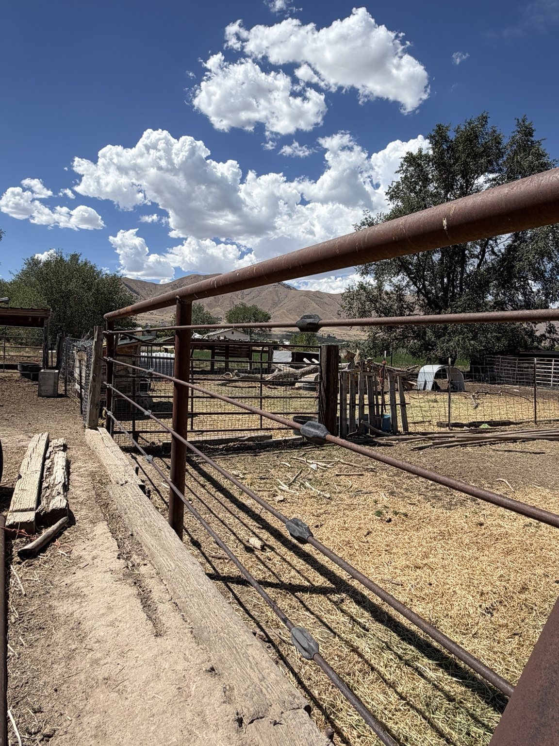 Drill pipe fence surrounding a livestock area