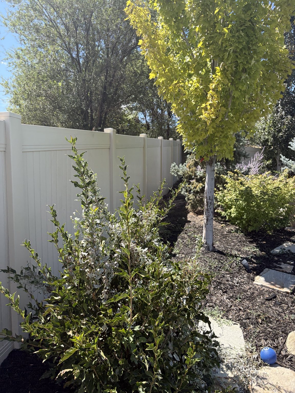 White vinyl fence through a landscaped yard